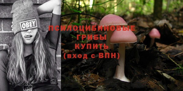 прущая мука Приозерск